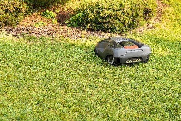 Ein Mähroboter im Einsatz auf dem Rasen.